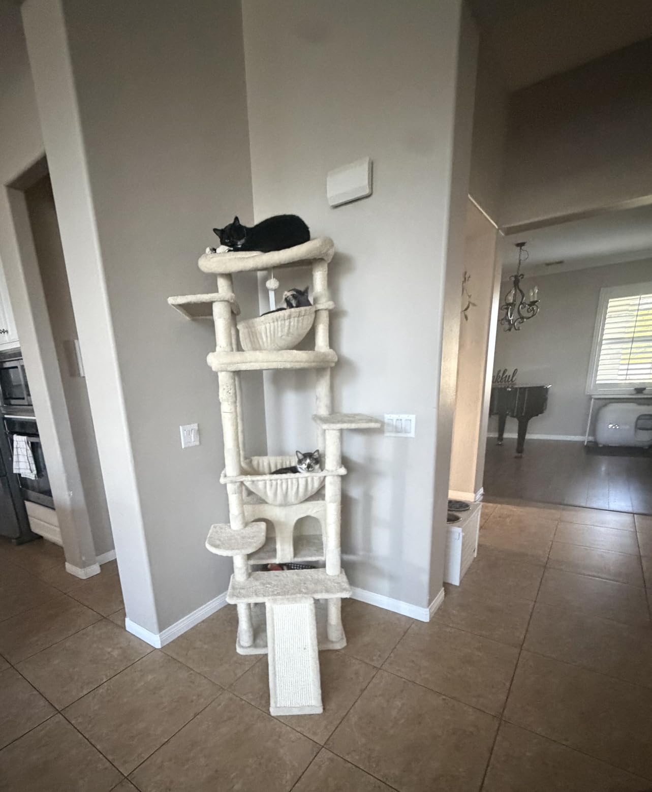 Heybly Cat Tree, 71-Inch-Tall Tower for Indoor Cats with 2 Perches HCT034G customer photo 1