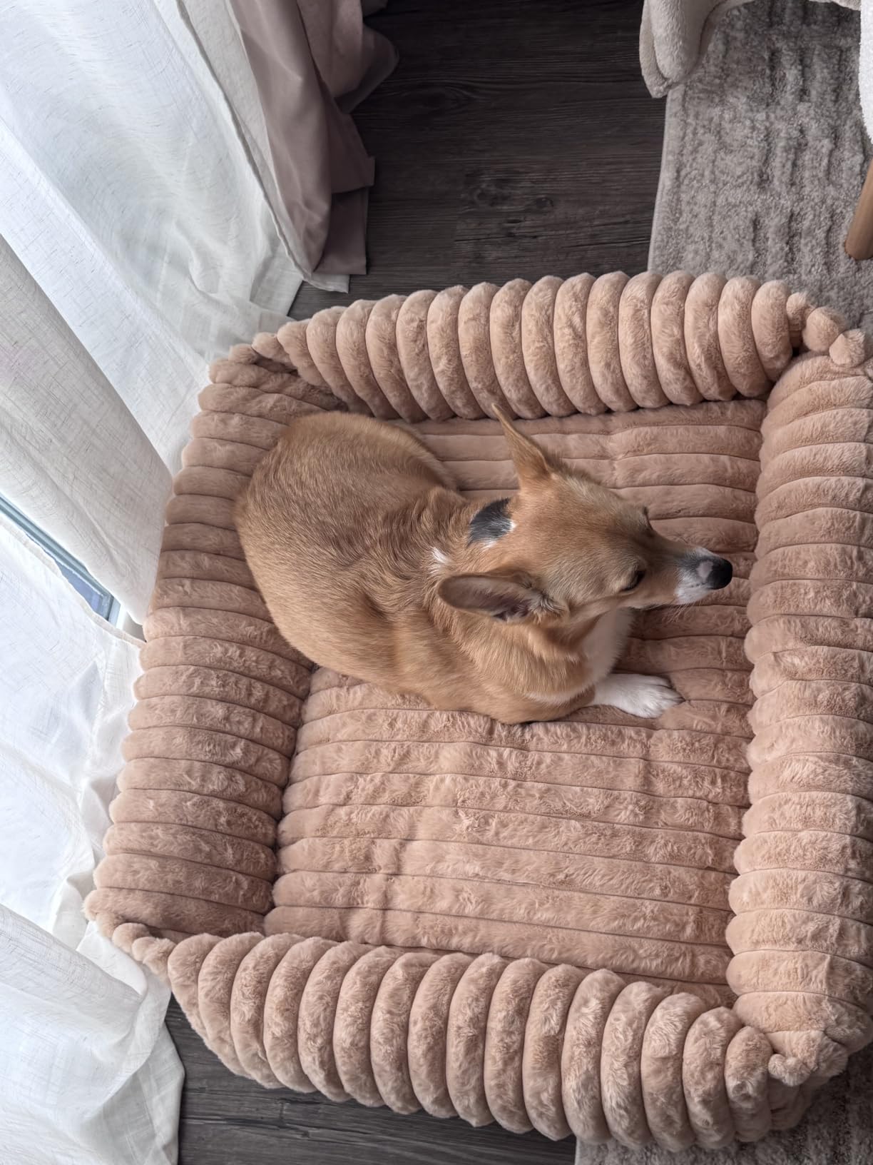 Bedsure ComfyFleece Cute Dog Bed for Small Medium Dogs Washable, 25in Cream | Furry Puppy Beds, Square Rectangle Orthopedic Corduroy Aesthetic Pet Beds, Removable Zipper Cover, Non-Slip Bottom, Up to 15 Lbs customer photo 1