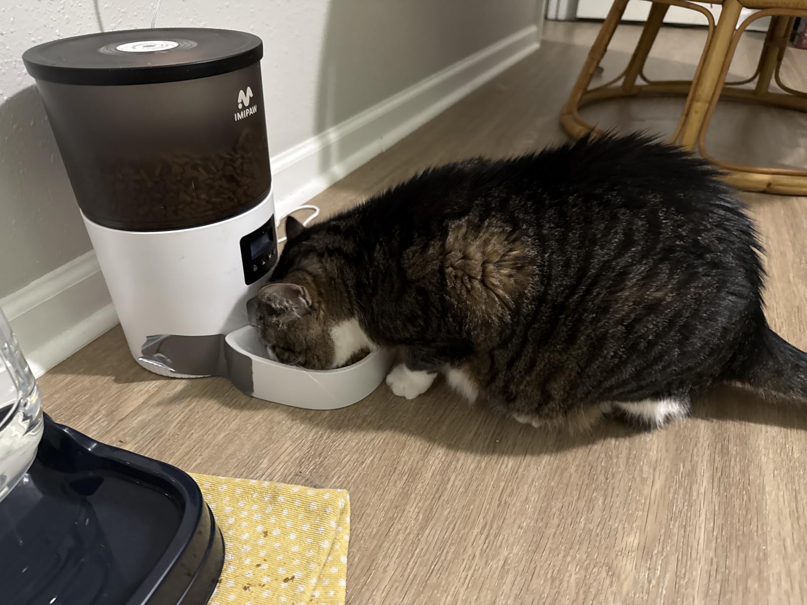 IMIPAW Automatic Cat Feeders, 3L Timed Cat Dry Food Dispenser, Dual Power Supply, Programmable Portion Size, 1-6 Meals Per Day, Auto Pet Feeder for Cats and Small Dogs, with Desiccant Bags customer photo 1