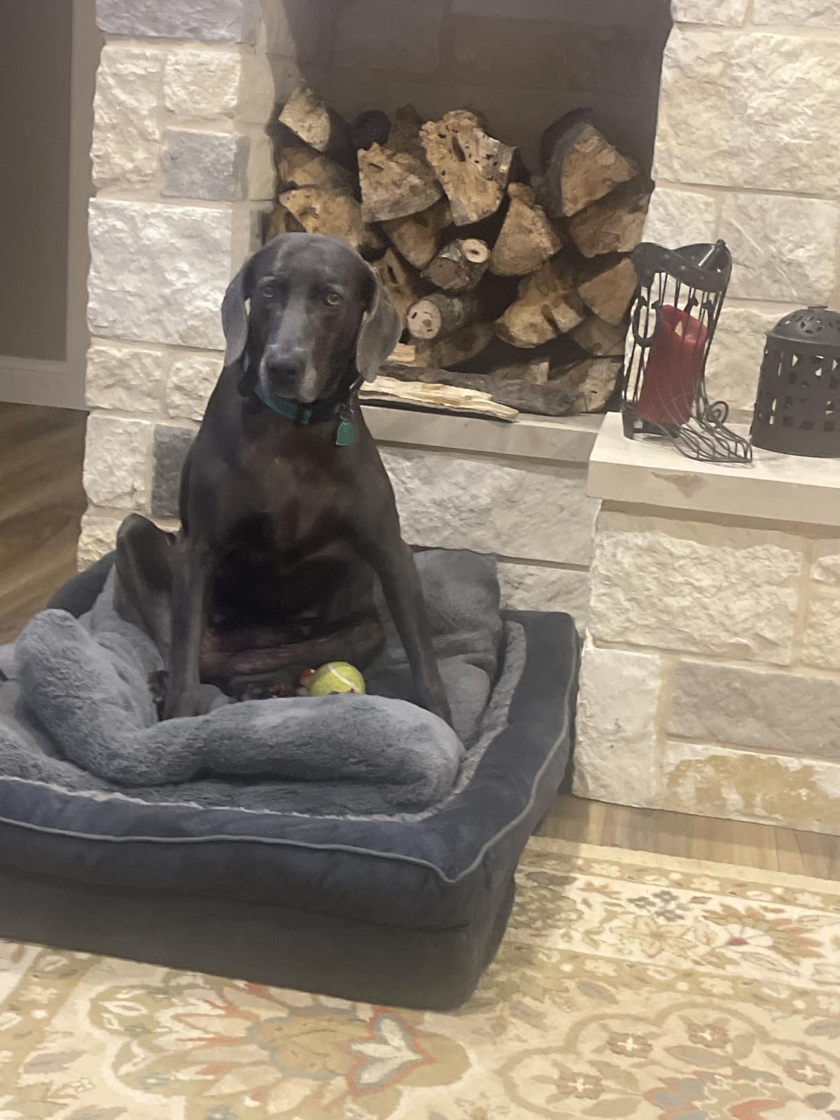 INVENHO Orthopedic Extra Large Dog Bed, XXL Waterproof Dog Sofa, Egg-Crate Foam Couch with Washable Removable Cover, Waterproof Lining and Nonskid Bottom customer photo 2