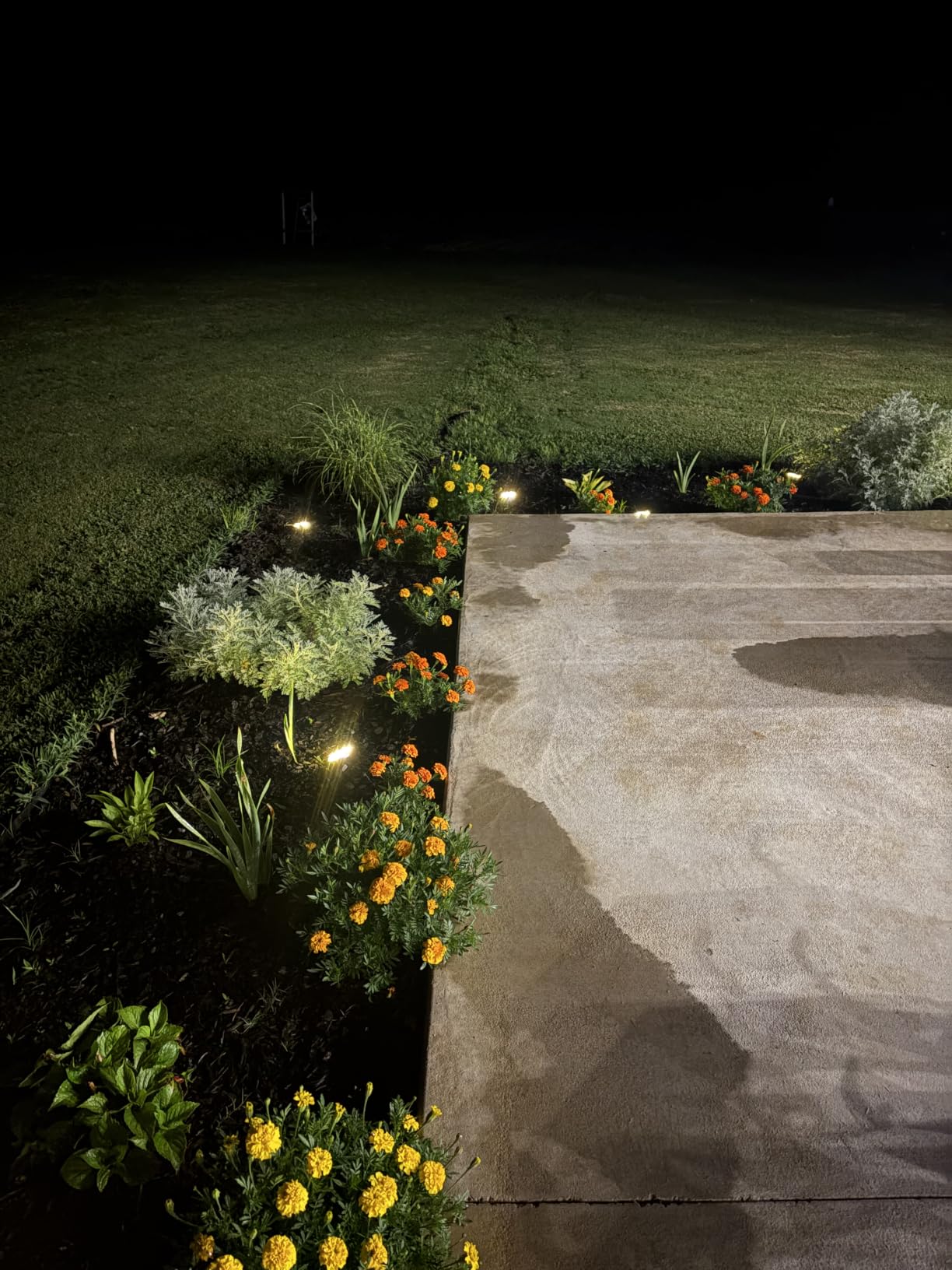 btfarm 16 Pack Solar Lights Outdoor Waterproof, 8 LED Solar Ground Lights customer photo 1