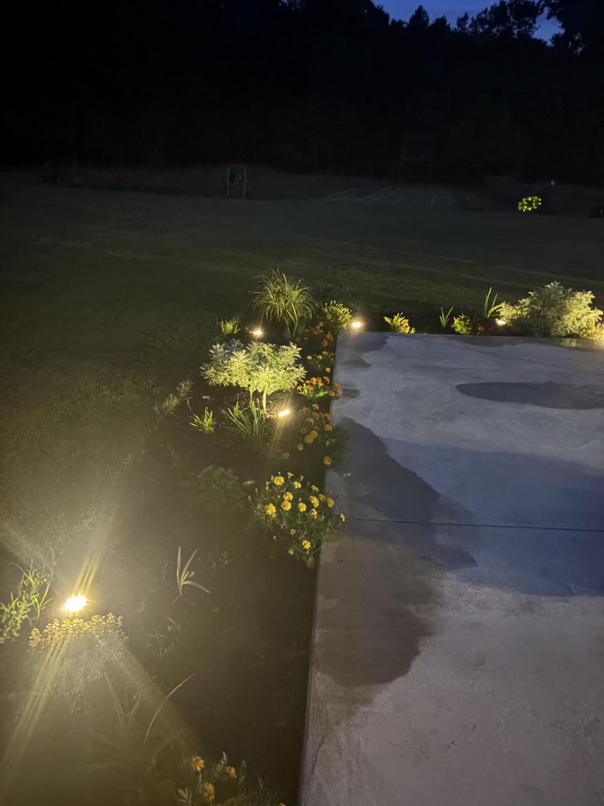 btfarm 16 Pack Solar Lights Outdoor Waterproof, 8 LED Solar Ground Lights customer photo 2