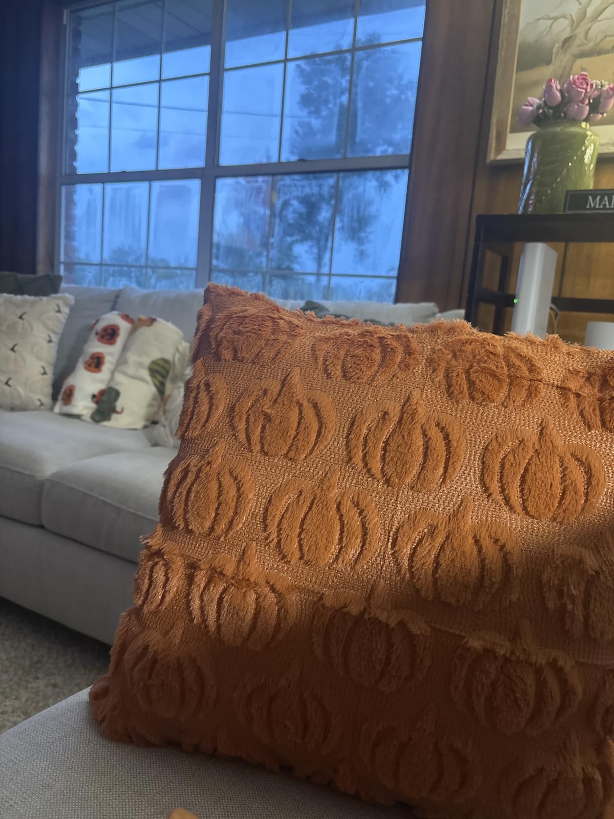 DFXSZ Fall Pillow Covers 18x18 2Pcs Rust Pumpkin Fall Decorations for Home customer photo 2