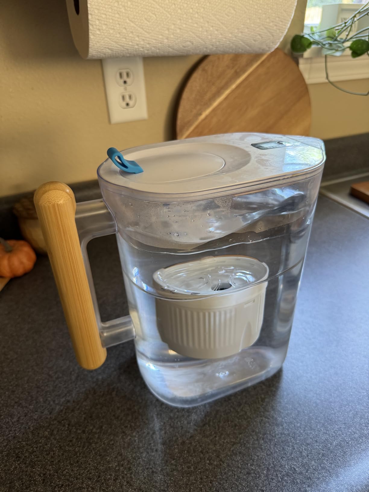Epic Water Filters Pure Filter Pitchers for Drinking Water, 10 Cup 150 Gallon Filter, Tritan BPA Free, Removes Fluoride, Chlorine, Lead, Forever Chemicals (White & Bamboo) customer photo 2