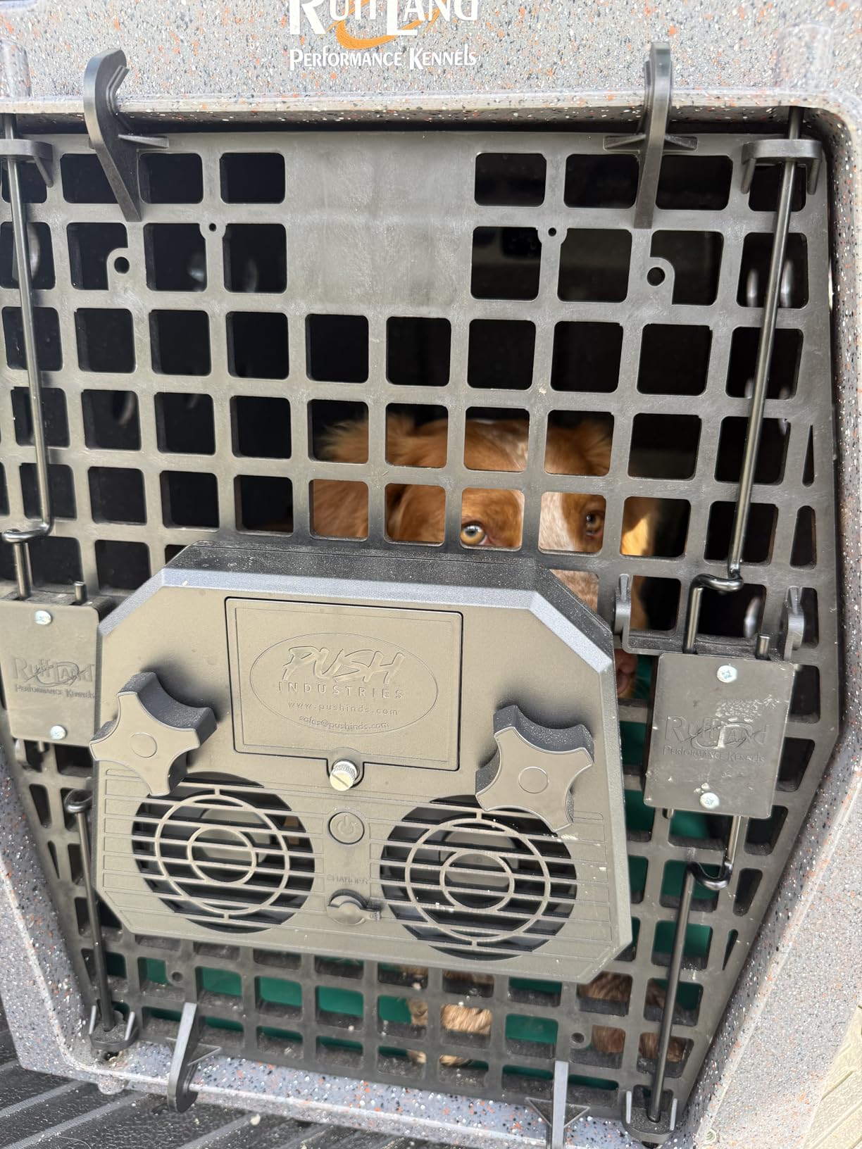 Push Industries 901.901 Vortex Kennel & Crate Fan Powered by 120V or Inc. Rechargable Battery - Multi Speed (Each) customer photo 2