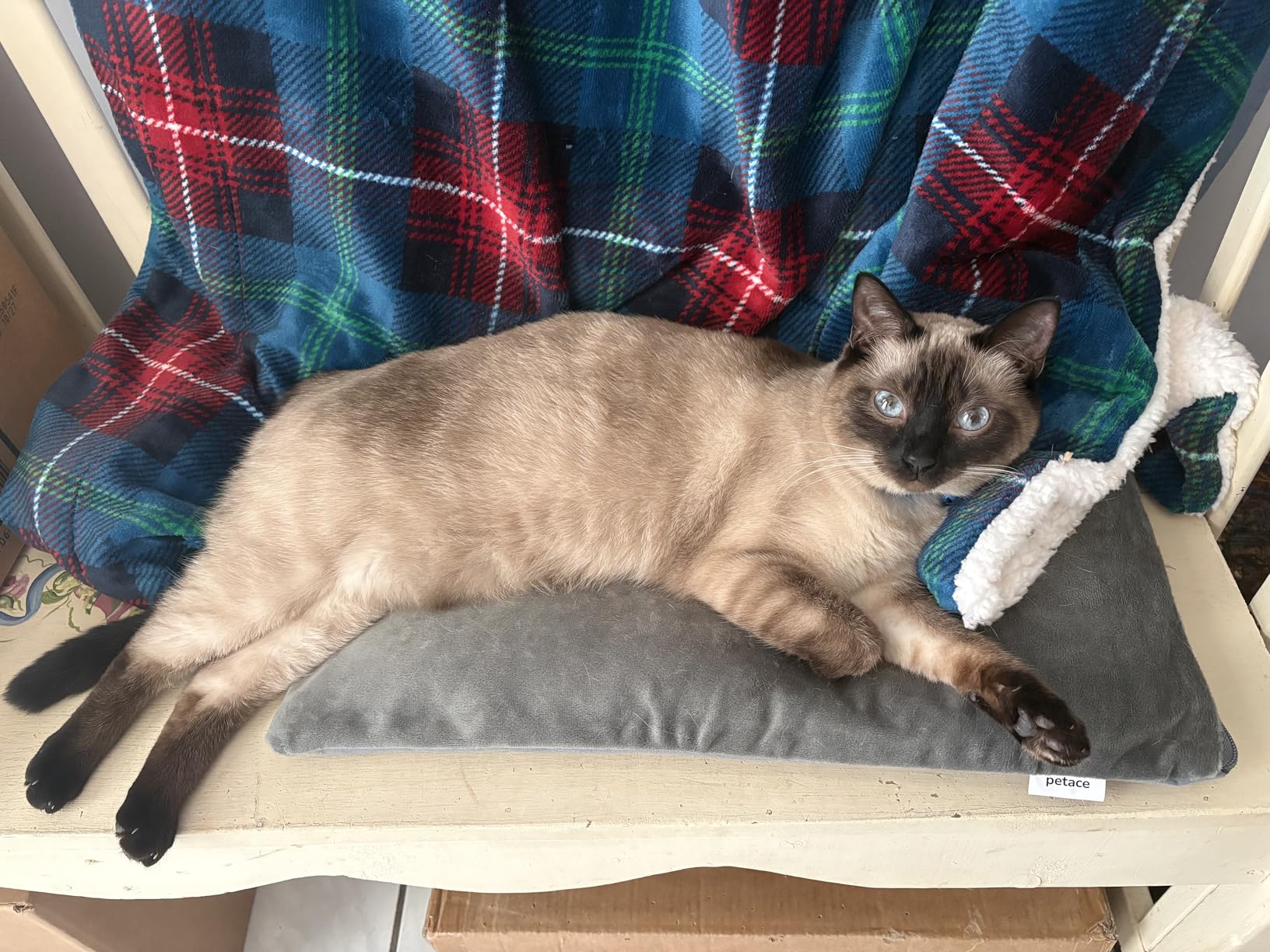 Outdoor Cat Heating Pad, 19.7