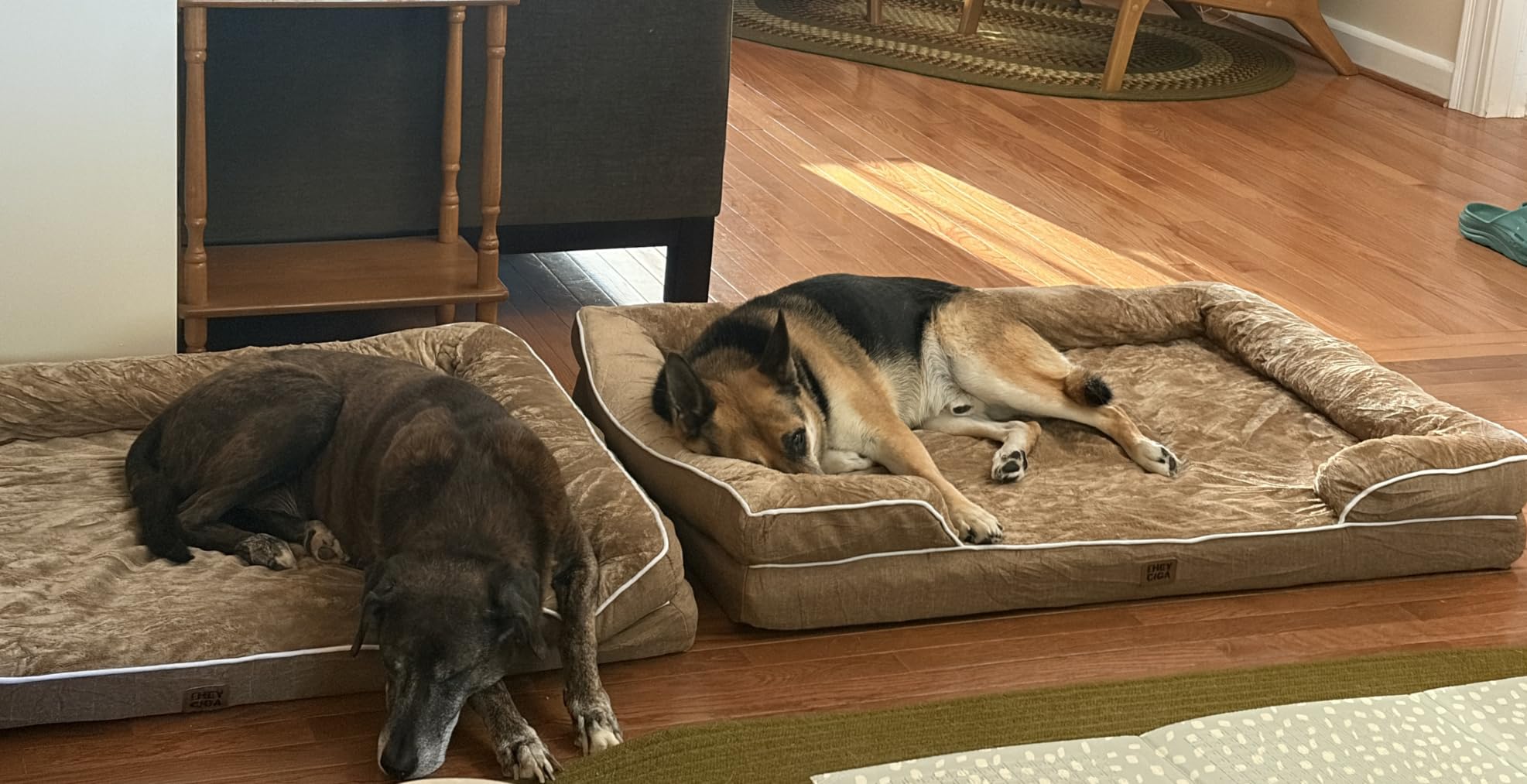 EHEYCIGA Orthopedic Small Dog Bed, Waterproof Memory Foam Washable Pet Beds | Non-Slip Bottom and Egg-Crate Foam Medium Dog Couch Bed with Washable Removable Cover, Grey customer photo 1
