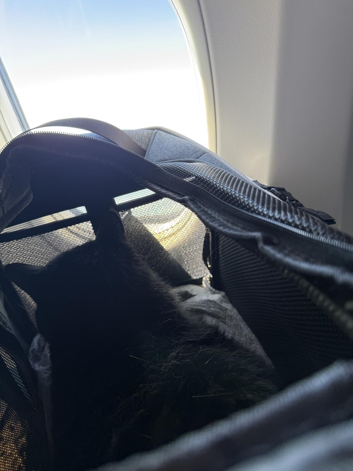 Petskd Top and Side Expandable Small Pet Carrier Airline Approved, Black customer photo 2