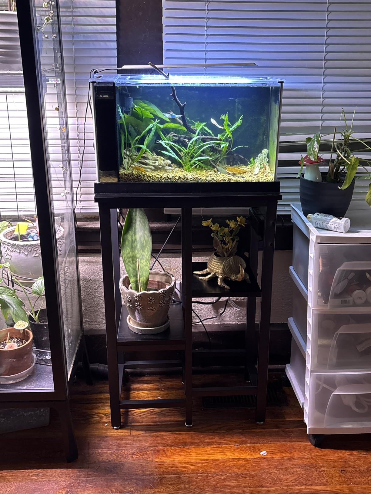 Bestier 55-75 Gallon Fish Tank Stand with Power Outlet, Rustic Brown, 49x13 customer photo 2