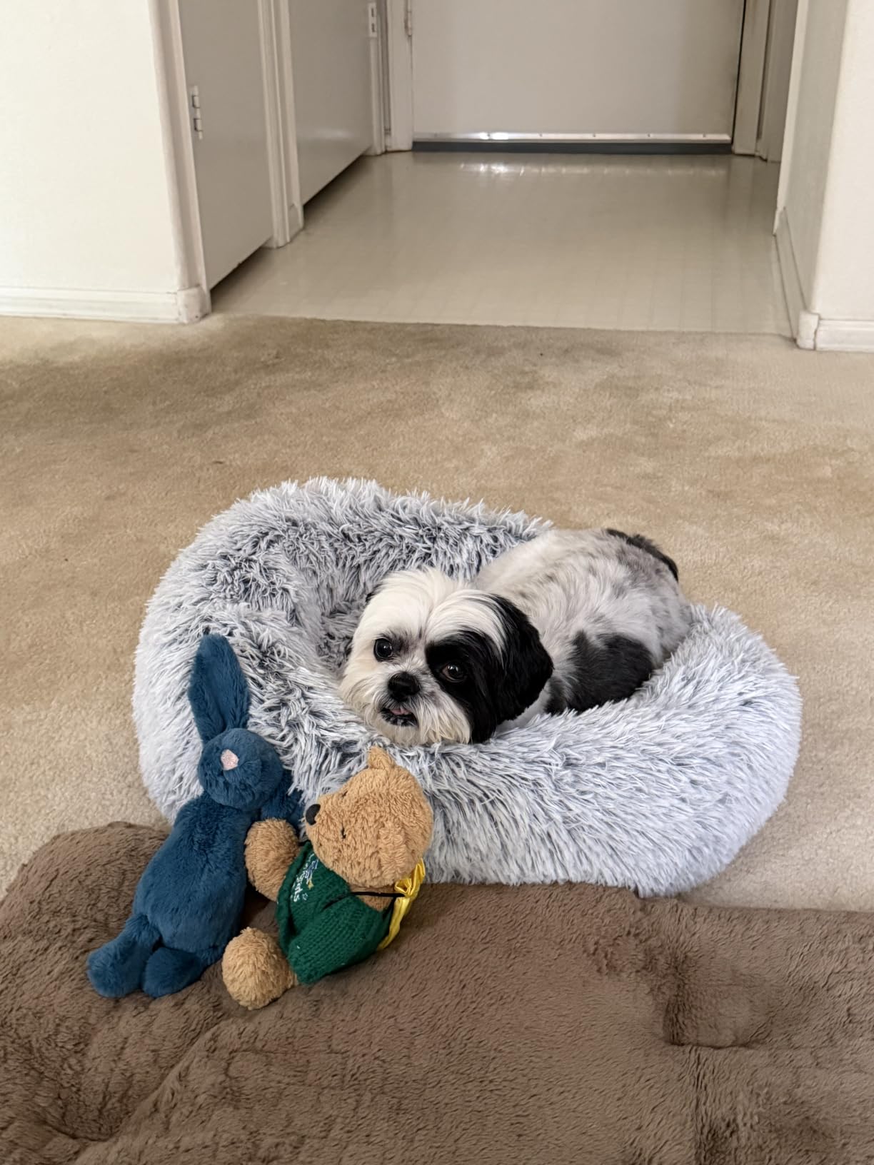 JOLLYVOGUE Calming Dog Bed Medium Size Dog, 31in Donut Washable Medium Pet Bed, Anti-Slip & Anti-Anxiety Fluffy Faux Fur Round Dogs Bed, Fits up to 45 lbs Pets (Smoke Grey) customer photo 1