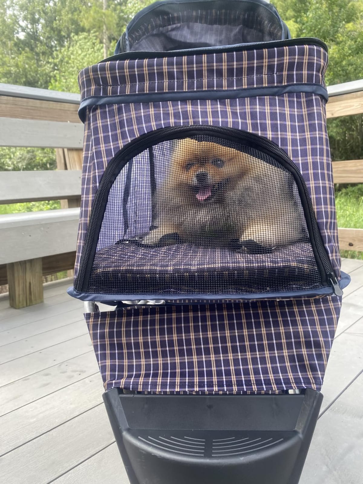 Magshion 3-Wheel Pet Stroller for Small/Medium Dogs & Cats, Up to 33lbs | Foldable Travel Jogger w/ Breathable Mesh Cover, Lightweight Design, Safety Tethers, Cup Holder & Storage Basket customer photo 2