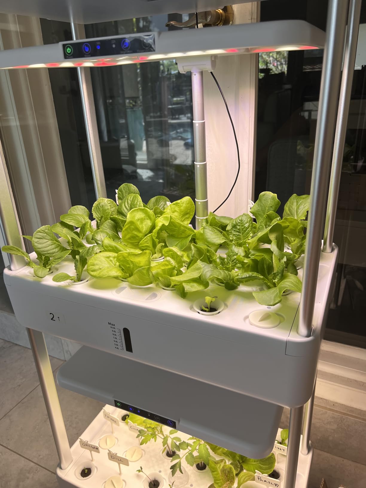 Ahopegarden Indoor Garden Hydroponics Growing System Kit: 66 Pods Plant Herb Garden Germination Kit with LED Grow Light, 30L Large Capacity Kitchen Hydroponics Planter Grower for Vegetable Fruit customer photo 1