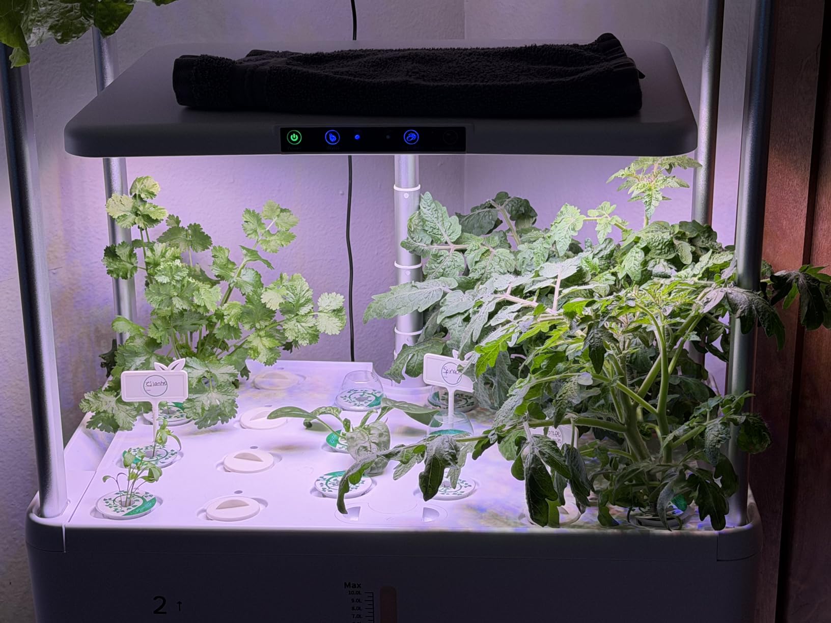 Ahopegarden Indoor Garden Hydroponics Growing System Kit: 66 Pods Plant Herb Garden Germination Kit with LED Grow Light, 30L Large Capacity Kitchen Hydroponics Planter Grower for Vegetable Fruit customer photo 2