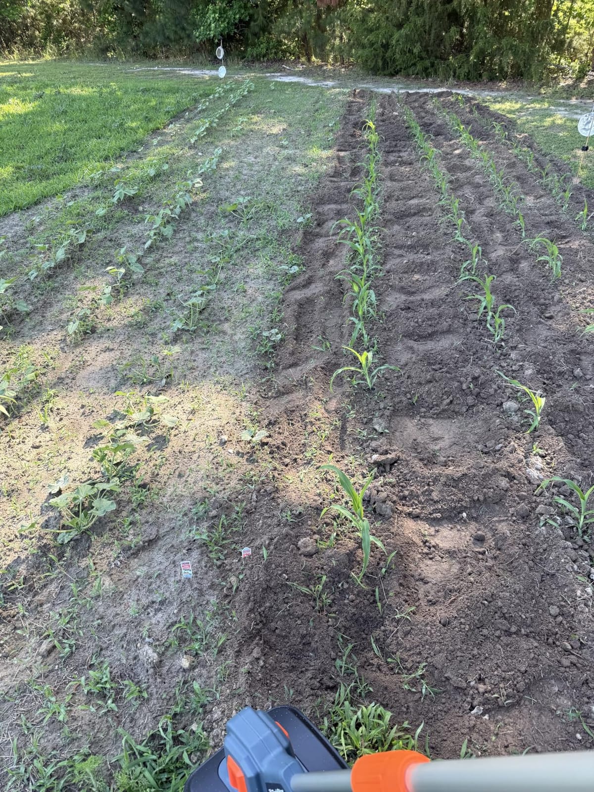 Cordless Tiller Cultivator for Gardening, Battery Powered Garden Rototiller customer photo 1