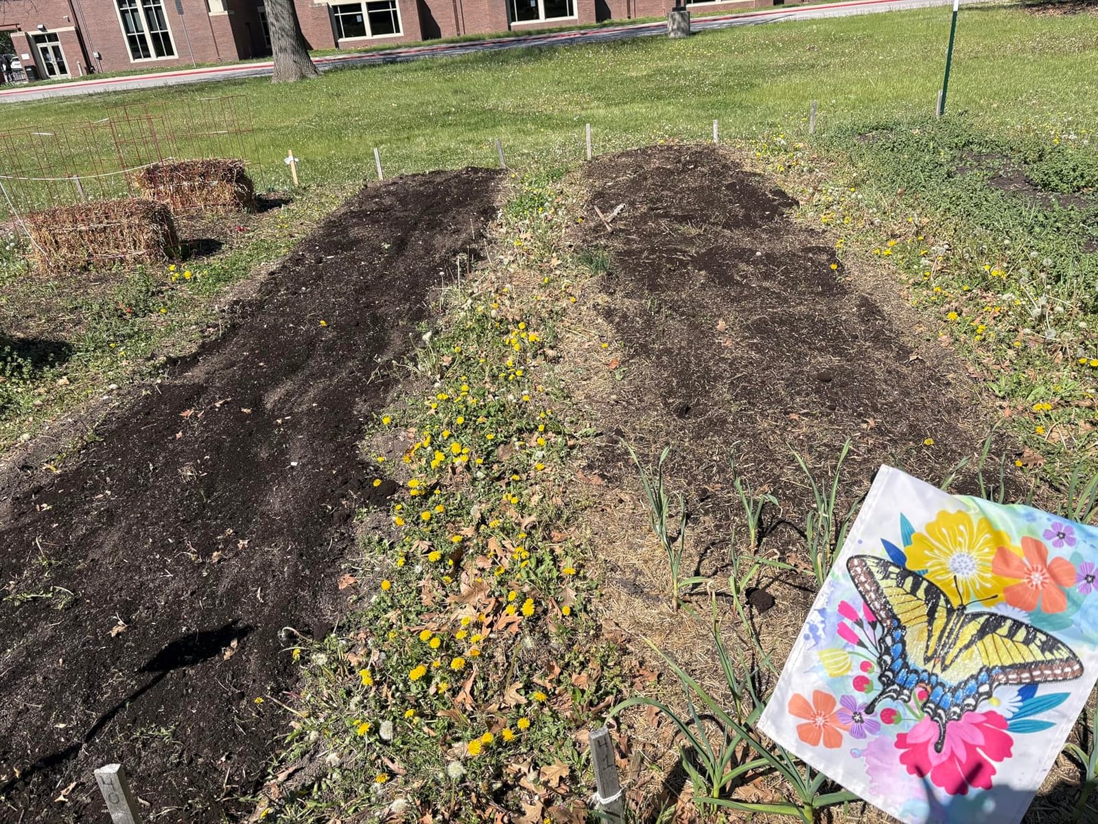 Cordless Tiller Cultivator for Gardening, Battery Powered Garden Rototiller customer photo 2
