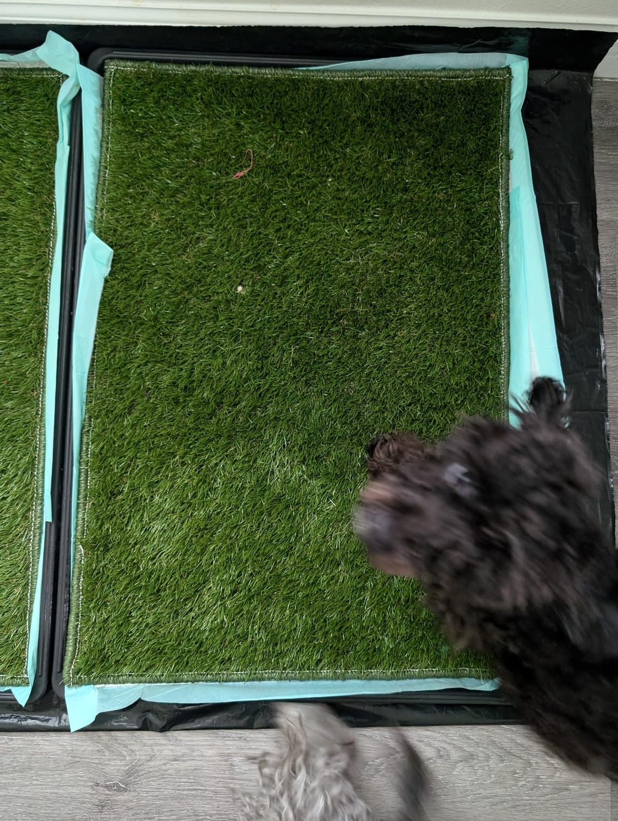Hompet Dog Grass Pad with Tray Large, 52.7