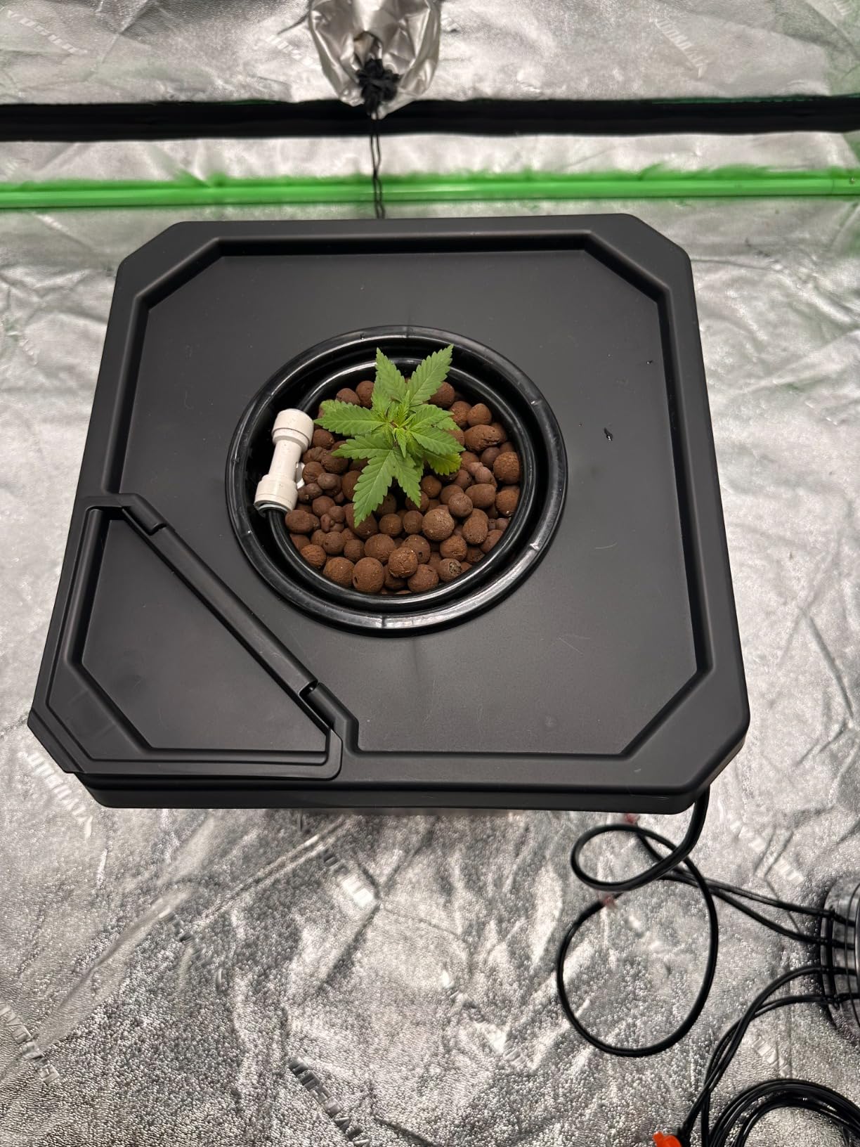 Spider Farmer DWC Hydroponics Growing System Kit 4 Buckets for Indoor Plant customer photo 2