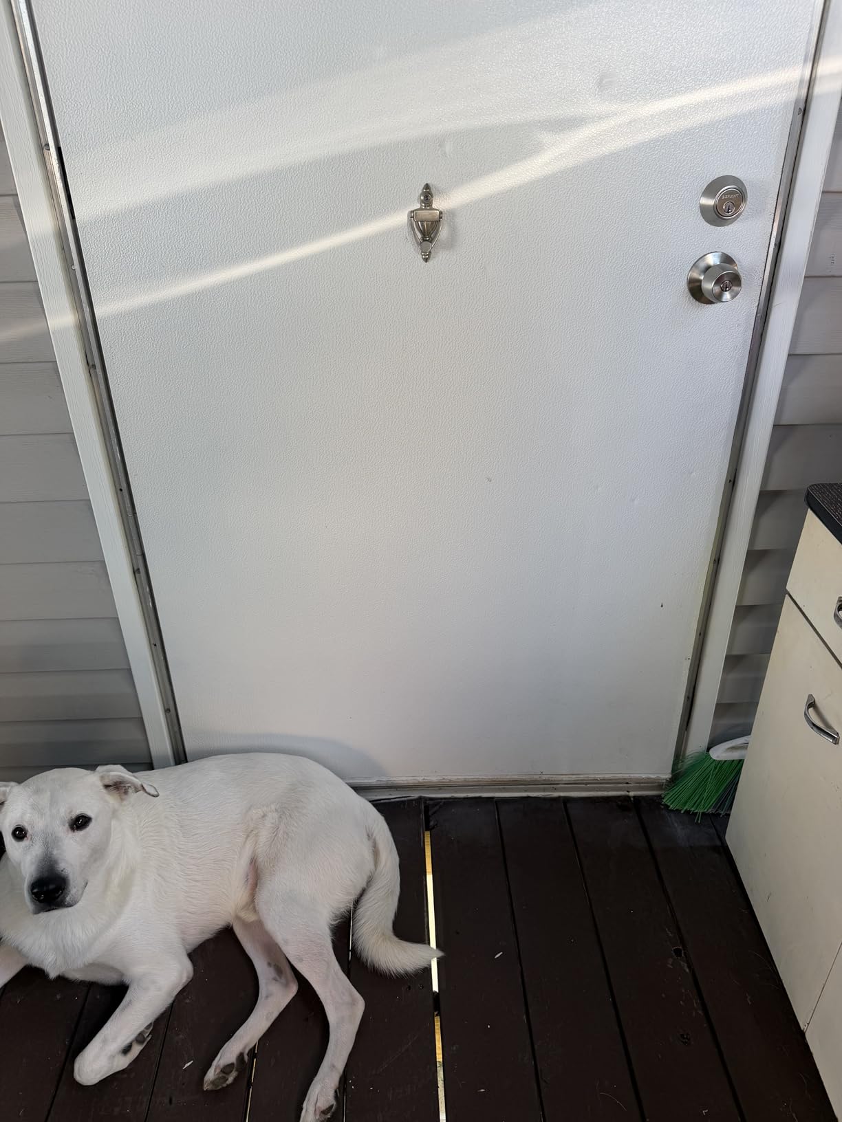 3-Flap Never Rust Extra Large Dog Door for Doors with Sliding Lock Panel customer photo 2