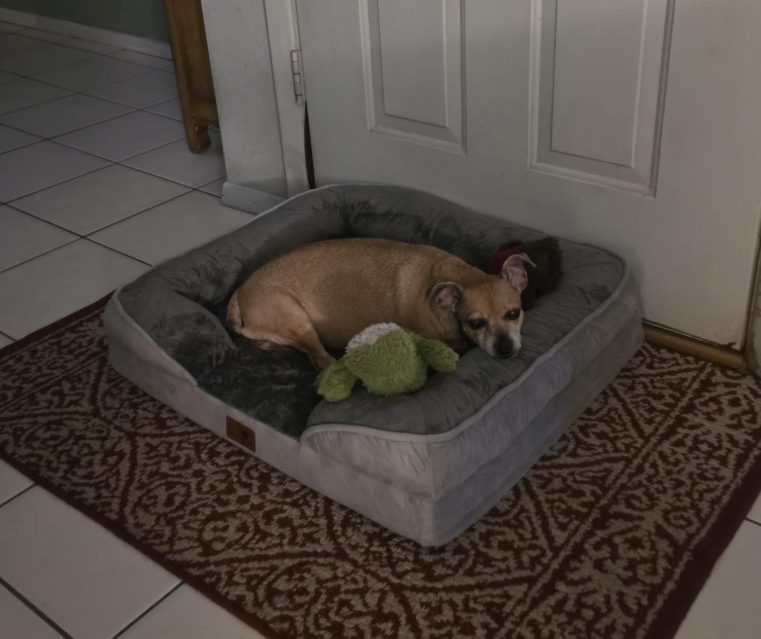 Spotted Play Orthopedic Dog Bed with Sides - Dog Sofa Beds for Medium Dogs, Supportive Foam Pet Couch Bed with Washable Removable Cover, Waterproof Lining and Non-Slip Bottom, Grey - M customer photo 1