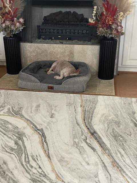 Spotted Play Orthopedic Dog Bed with Sides - Dog Sofa Beds for Medium Dogs, Supportive Foam Pet Couch Bed with Washable Removable Cover, Waterproof Lining and Non-Slip Bottom, Grey - M customer photo 2