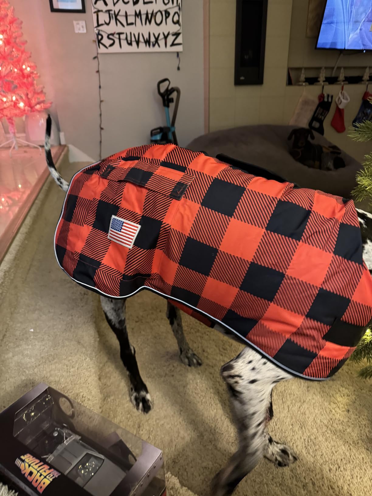 BEAUTYZOO Dog Winter Coat for Giant Large Dogs, Waterproof Canvas Jackets customer photo 1