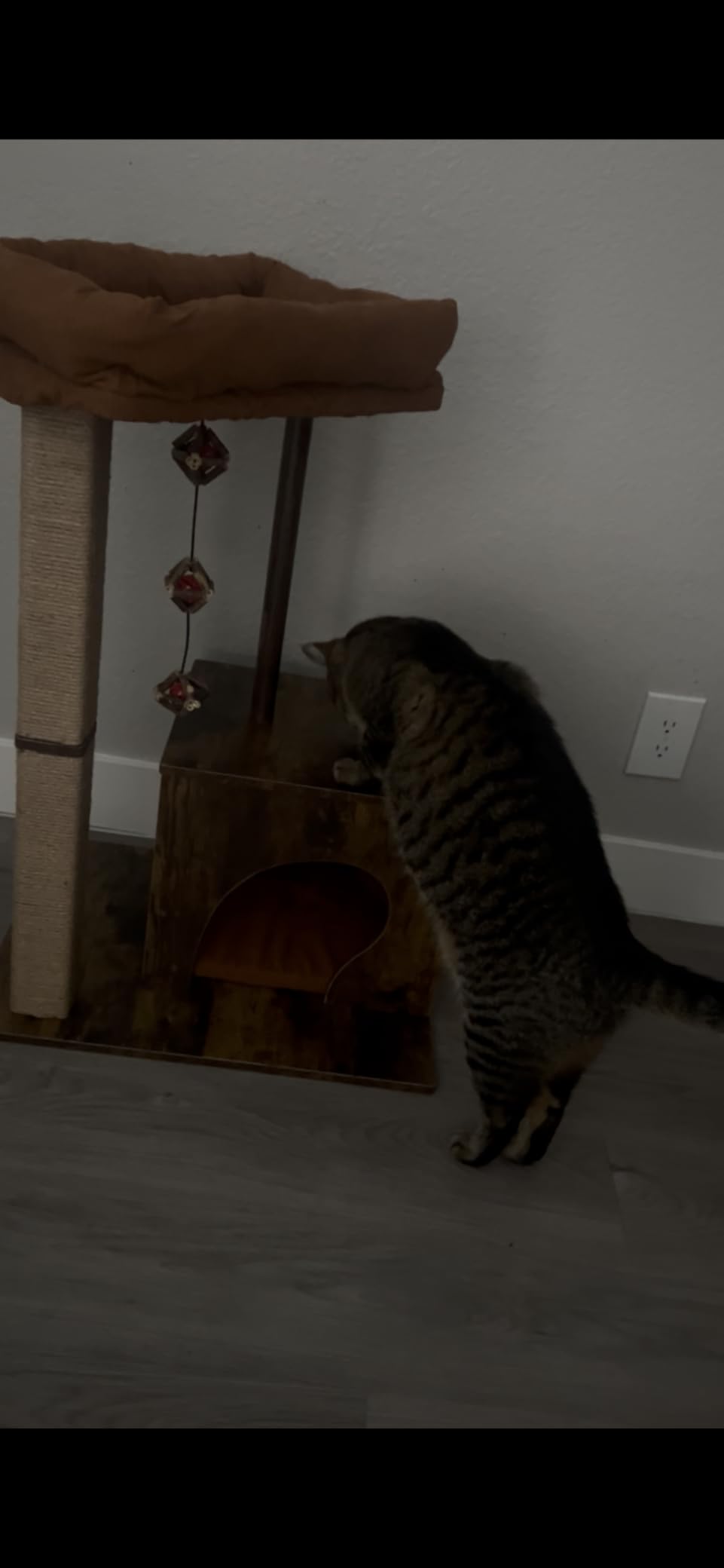 FUKUMARU Retro-Modern Cat Tree, Small Wooden Cat Tower with Post and Condo customer photo 2