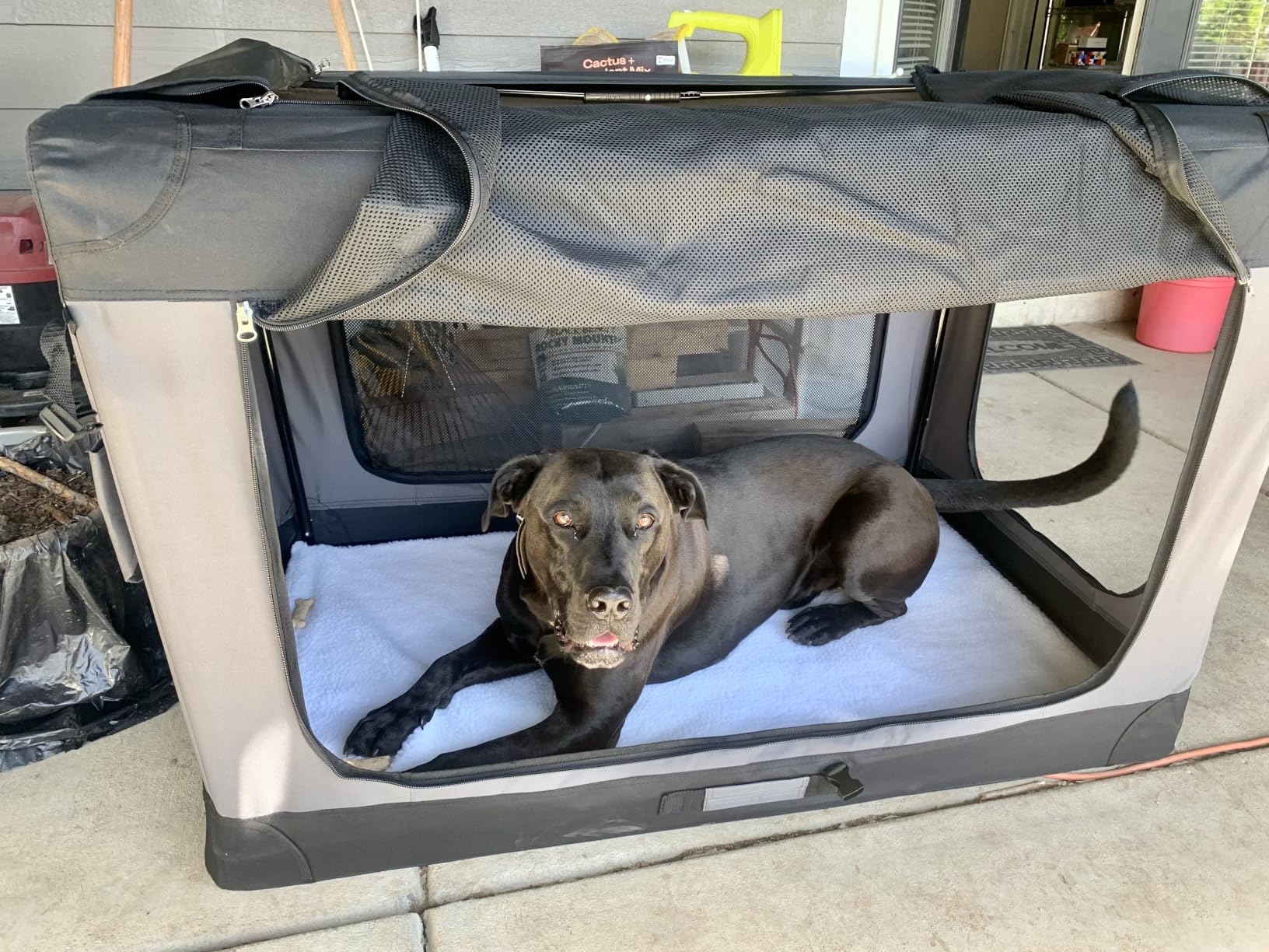Feandrea Collapsible Dog Crate, Portable Oxford Fabric Pet Carrier, 36-Inch customer photo 1