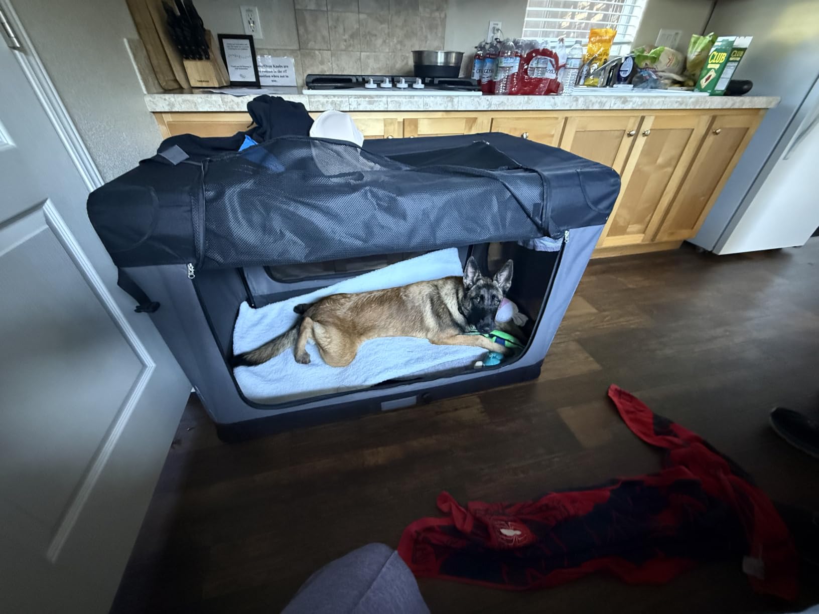 Feandrea Collapsible Dog Crate, Portable Oxford Fabric Pet Carrier, 36-Inch customer photo 2