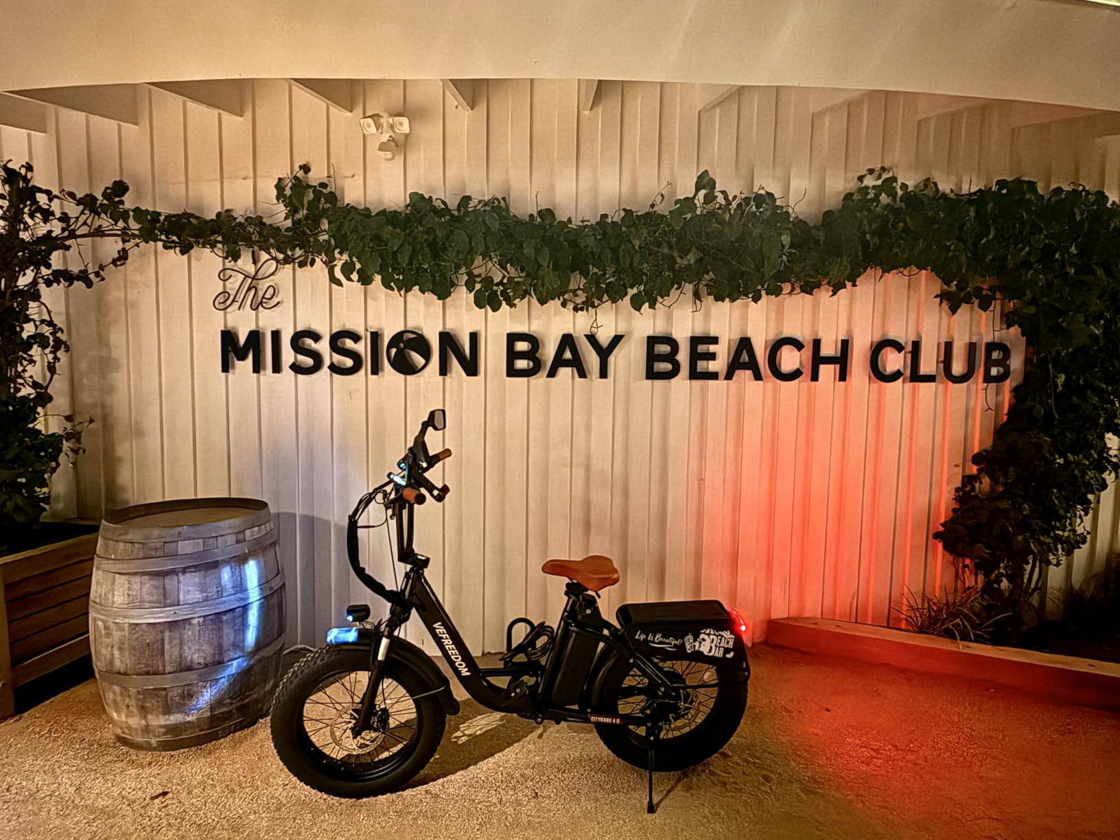 vefreedom Electric Bike for Adults with Peak 1500W Motor, 48V 20Ah Removable Battery Fast Ebike,Max 70Miles,20