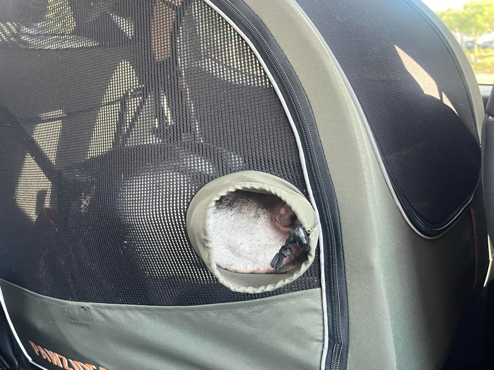 PAWZIDEA Portable Dog Crate for Car Travel, Medium & Large Dogs Up to 80lbs customer photo 2