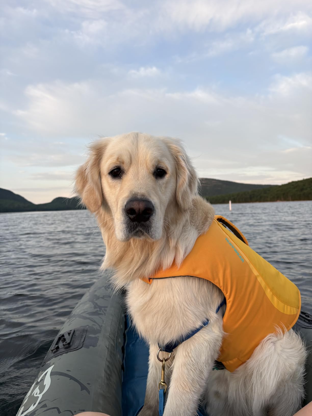 Ruffwear, Float Coat Dog Life Jacket, Swim Vest, Deep Blue, X-Small | Premium Buoyancy, Lift Handle, Secure Fit & Reflective Trim, Adjustable Flotation for Swimming, Boating, & Outdoor Adventures customer photo 1
