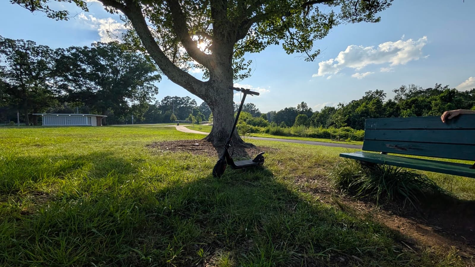 iScooter Electric Scooter for Adults, Foldable E-Scooter for Commuting customer photo 1