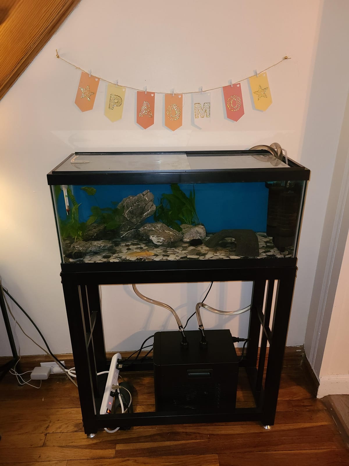 BAOSHISHAN 1/13 HP Aquarium Chiller 26 Gallon Fish Tank Water Chiller | Quiet Compressor Refrigeration, Precise Temperature Control, With Pump & Hose, For Axolotls Coral Reef and Hydroponics customer photo 2