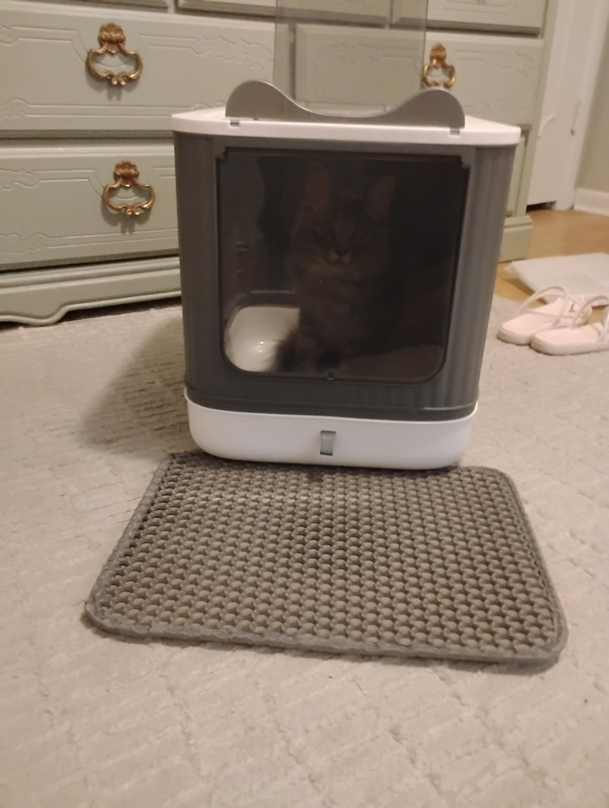 Foldable Enclosed Cat Litter Box with Lid, for Kitten to Medium customer photo 2