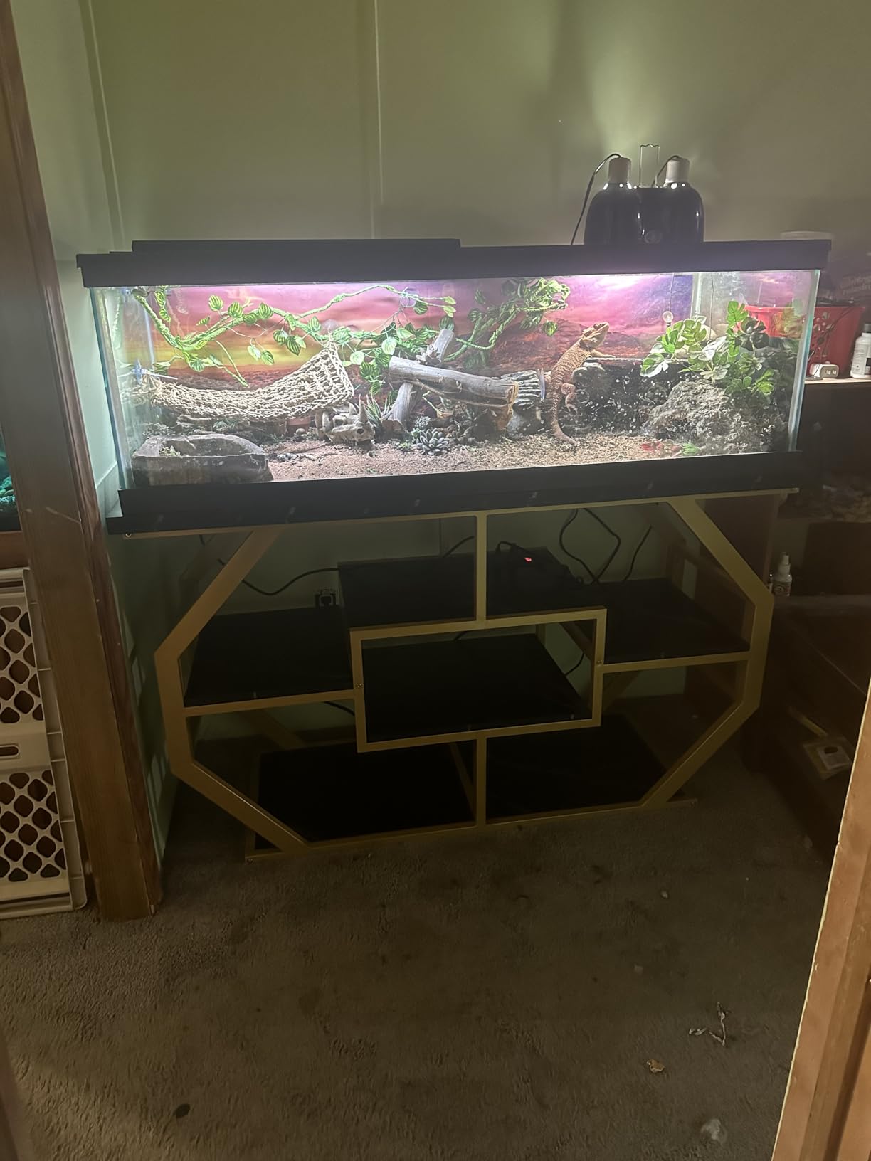 DWVO 55-75 Gallon Aquarium Stand 29 with Power Outlet,Black & Gold customer photo 2