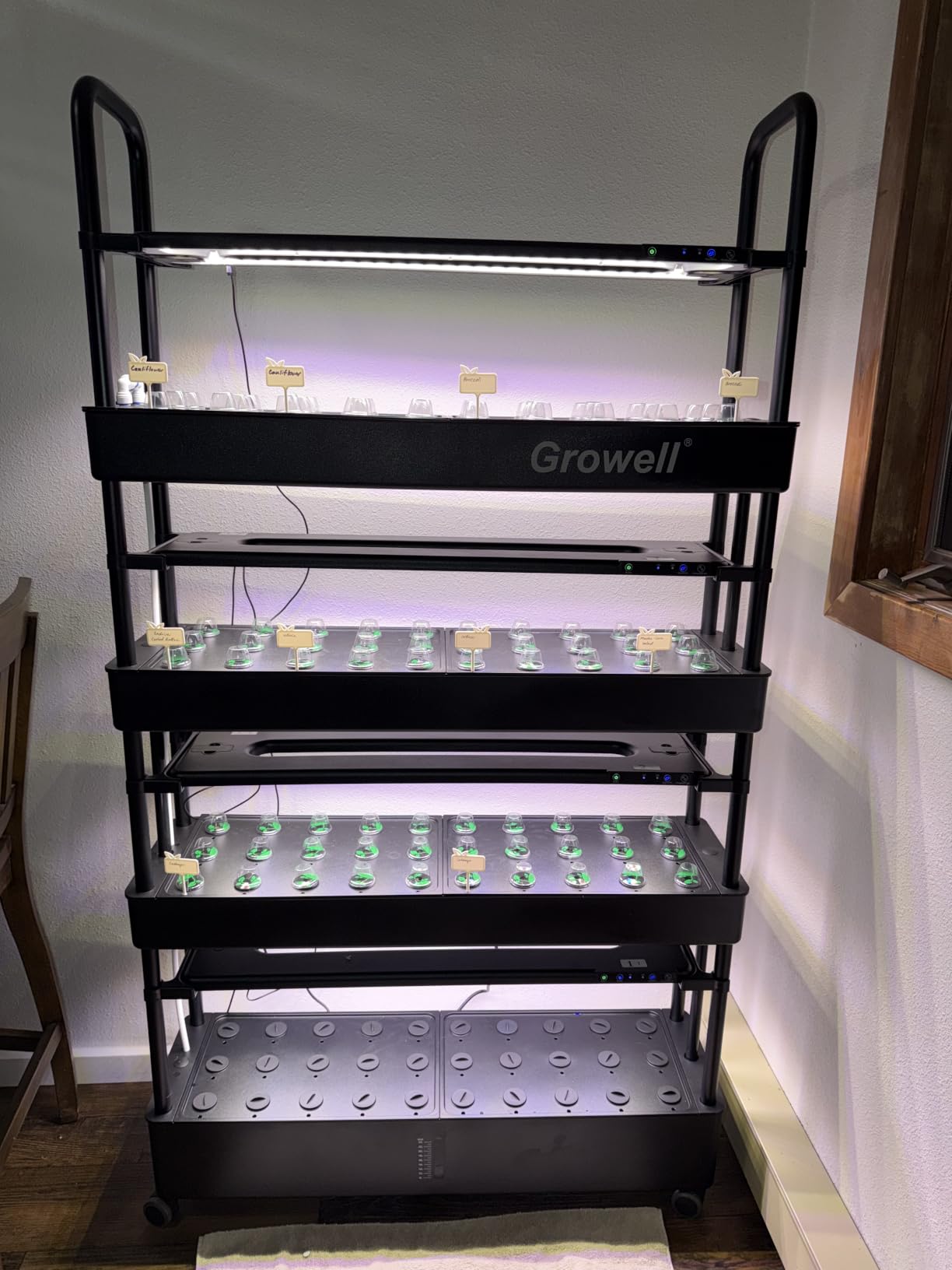 Growell Large Hydroponics Growing System Kit, 120 Pods Vertical Hydroponic Garden with 2 Light Modes Grow Light, Auto Circulating Water System, 48L Indoor Gardening System for Herb Vegetable Fruit customer photo 1