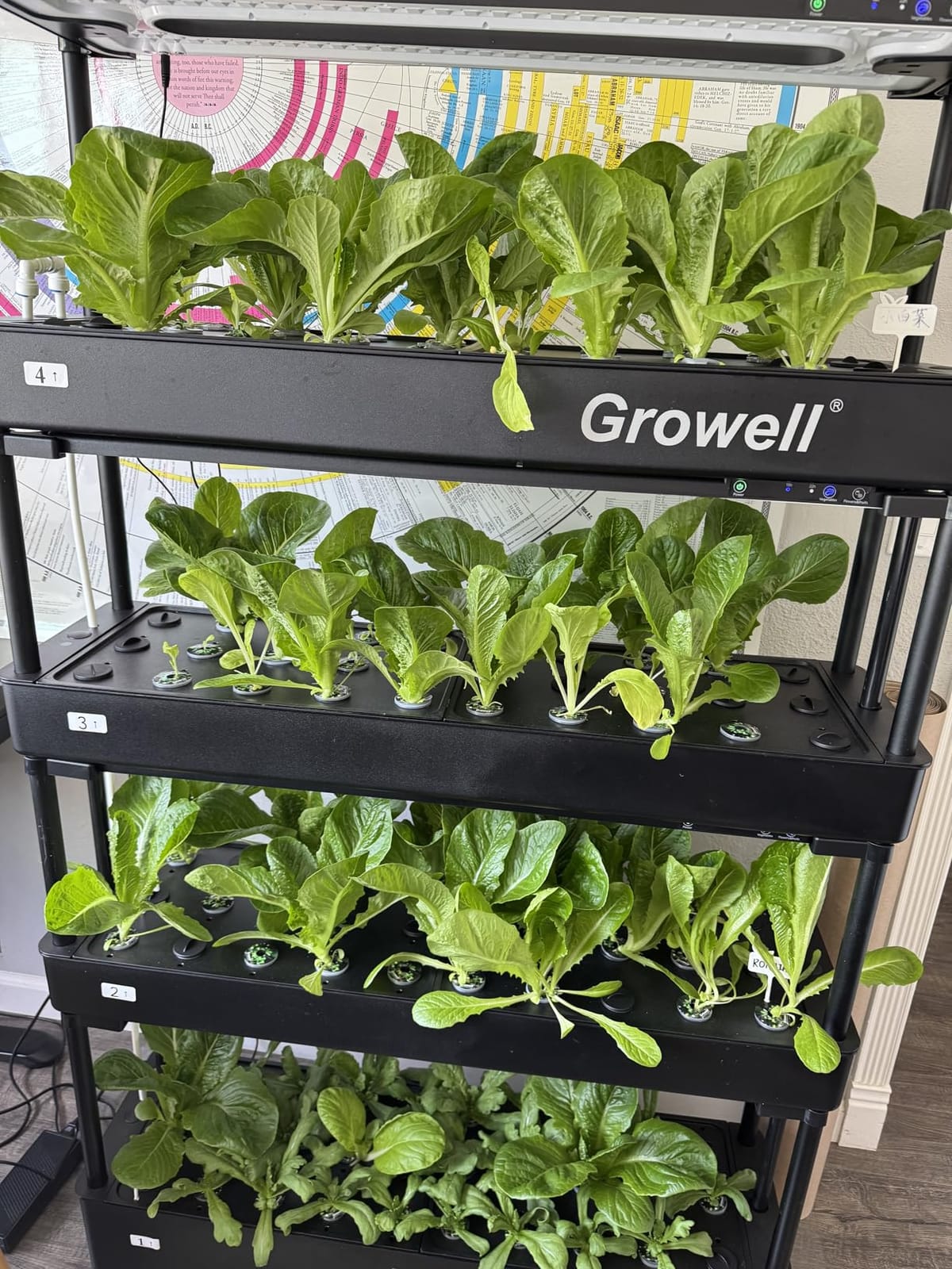 Growell Large Hydroponics Growing System Kit, 120 Pods Vertical Hydroponic Garden with 2 Light Modes Grow Light, Auto Circulating Water System, 48L Indoor Gardening System for Herb Vegetable Fruit customer photo 2