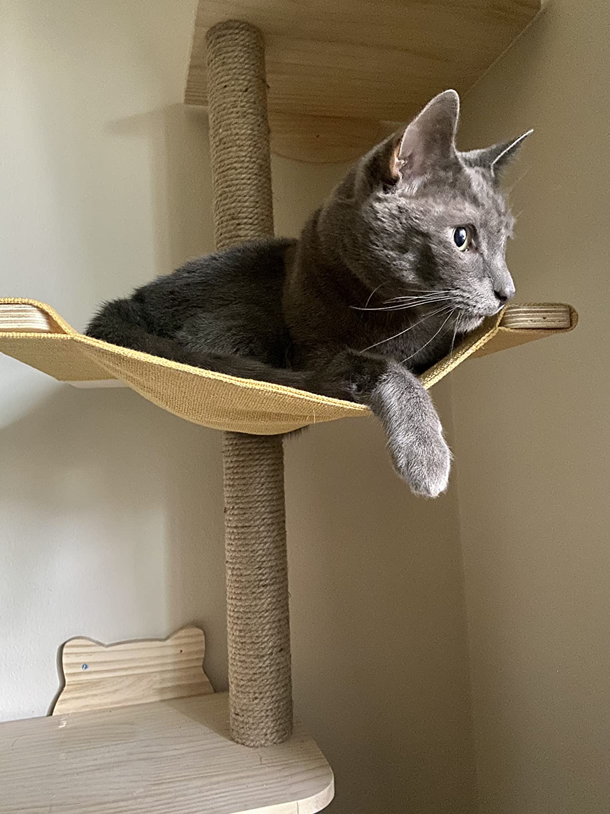 Wall-Mounted Cat Tree, 69-Inch Sisal Scratching Post, 4-Tier Carpet Perches customer photo 2