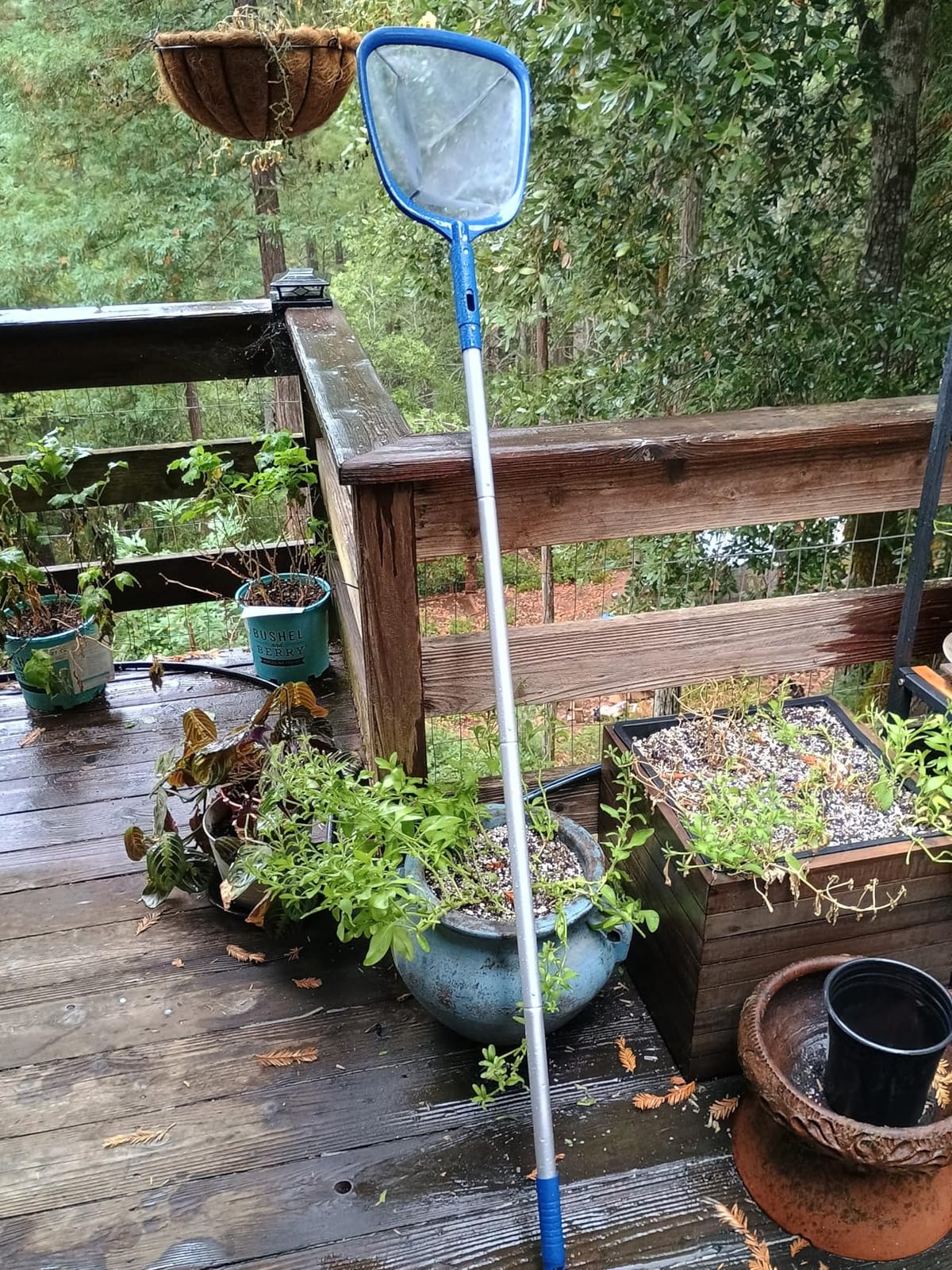 POOLAZA Pool Cleaning Kit, Brush, Net, Pole, Pool Floater, Pool Test Strips customer photo 2