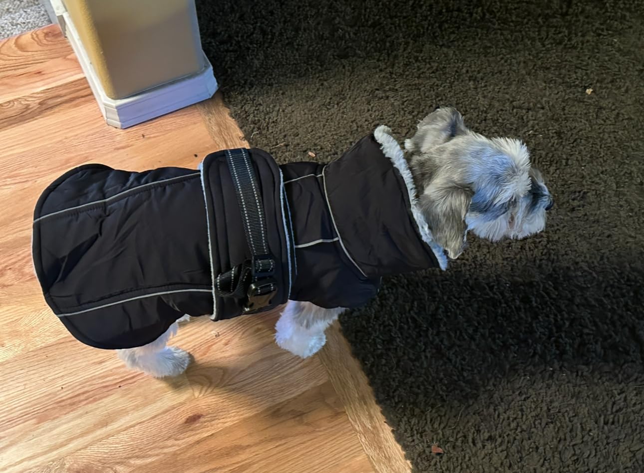 Lelepet Dog Jackets for Large Dogs Waterproof Dog Coat with Adjustable Fit customer photo 1
