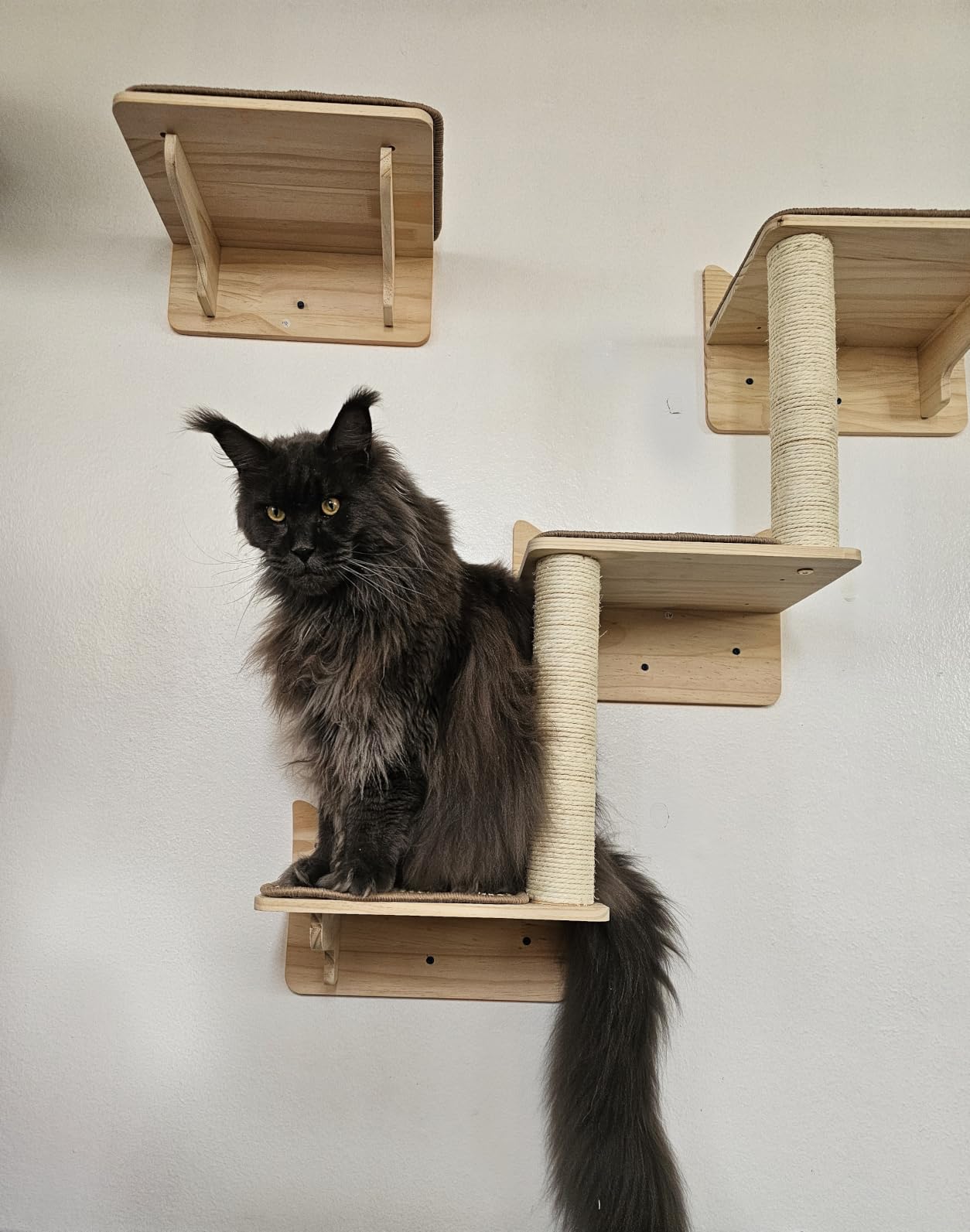 Wall Mounted Cat Tree, Cat Wall Shelves with Sisal Mats customer photo 2