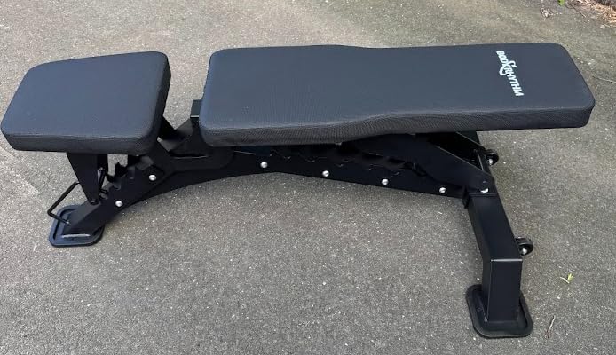 BODYRHYTHM Commercial-grade Weighted Bench, 1300LBS Weight Capacity Strength Training Bench, Heavy-duty Adjustable Workout Bench for Garage and Home Gym Workouts, Weight Lifting, and Bench Press. customer photo 2