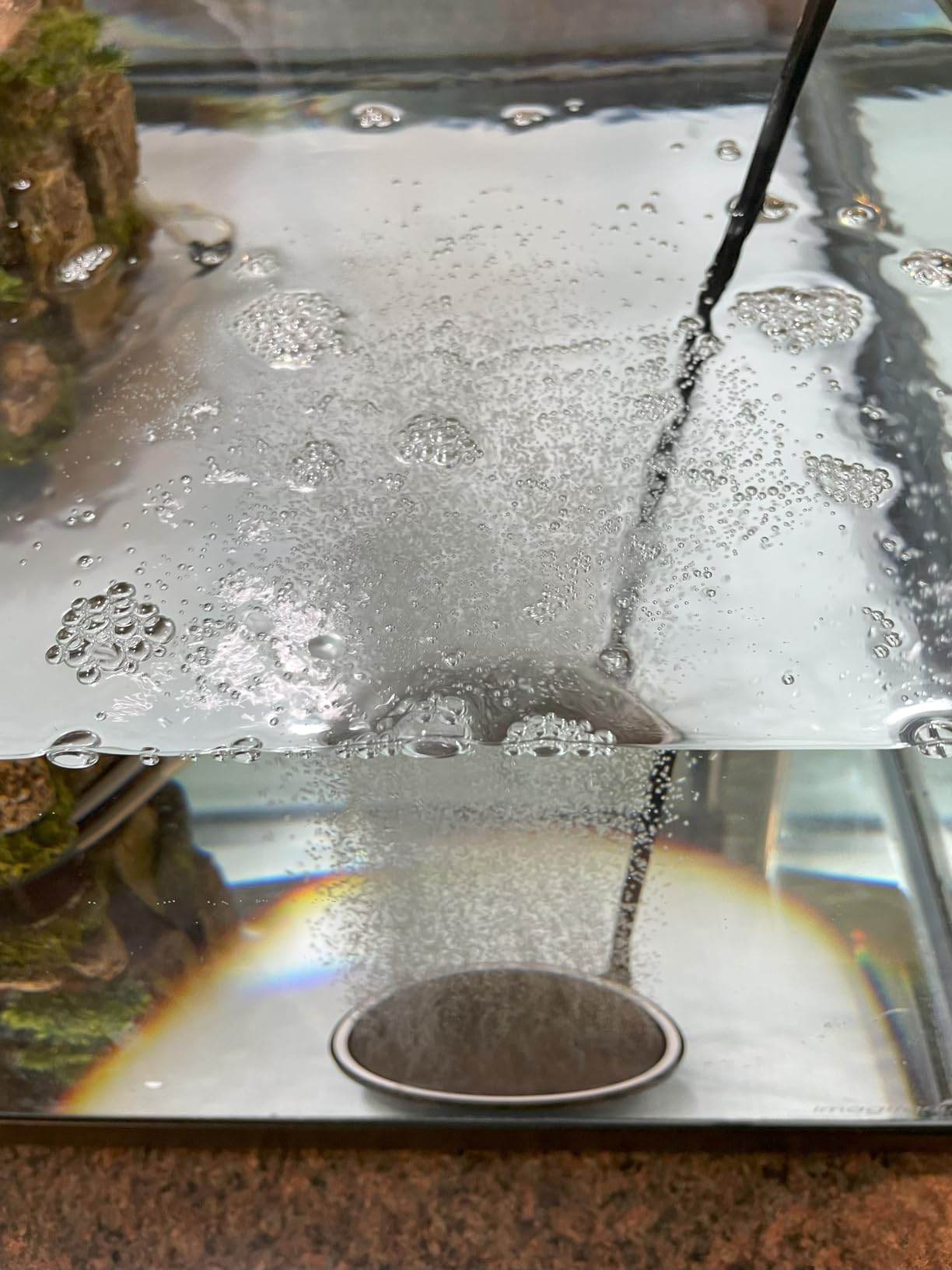 hygger Air Stone for Aquarium: Quiet High Dissolved Oxygen Diffuser Kit for Freshwater or Saltwater Fish Tank and Hydroponic Air Pump-Disc 2 x 2 Inch Air Bubble Stone Without air Pump customer photo 1