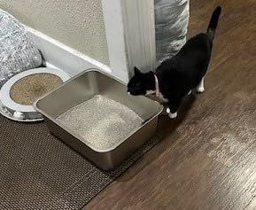 Stainless Steel Litter Box Kitten,Metal Cat Litter Box Low Entry,4