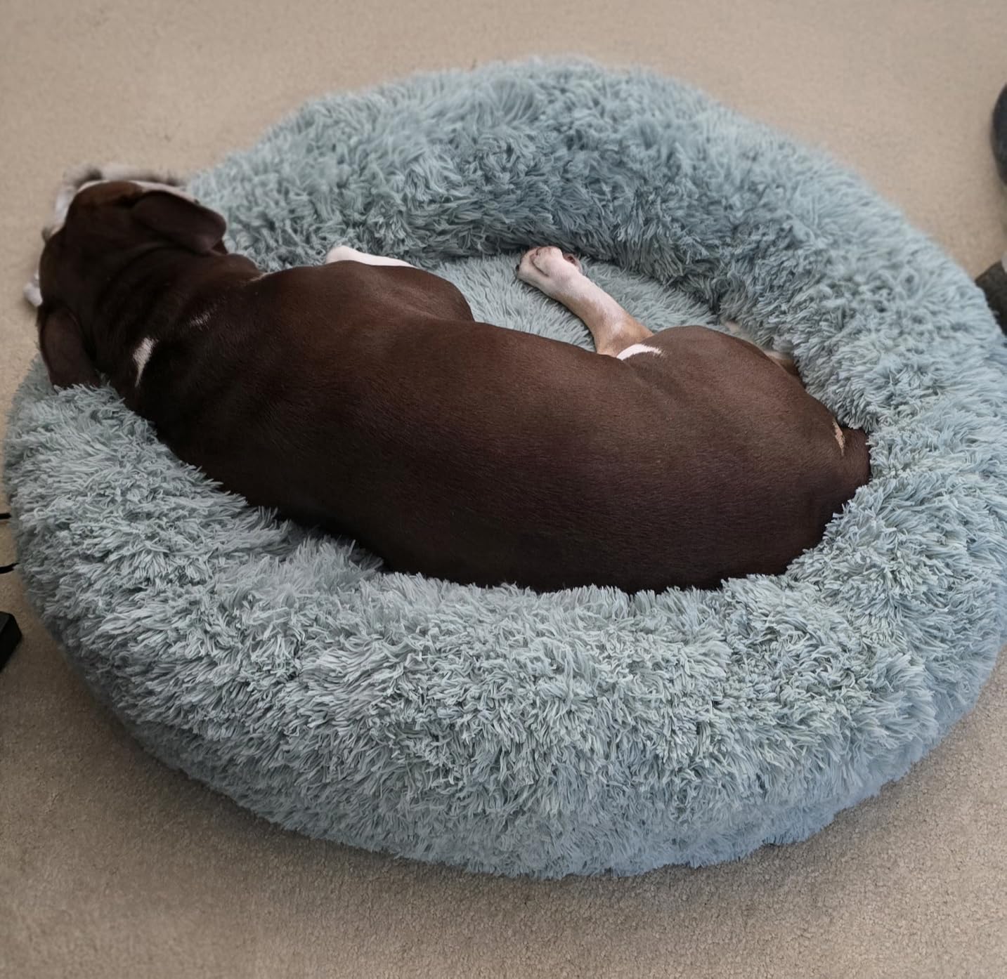 Bedsure Human Dog Bed for Adult, Plush Giant Calming Nest Bed Orthopedic | 71