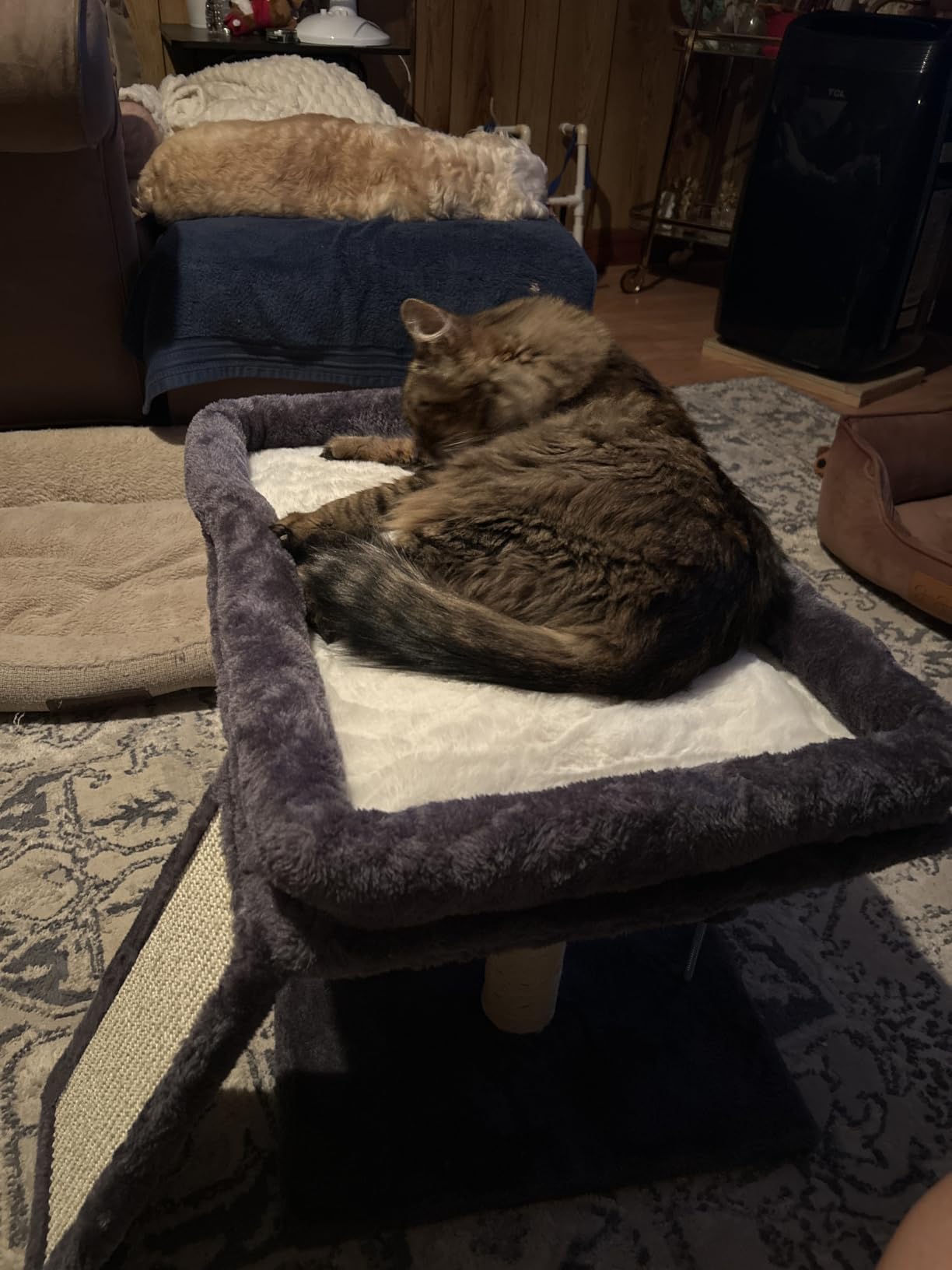 Aechonow XL Cat Tree Tower for Large Adult Cats 20 lbs+, 23x15.7 Perch Bed customer photo 2