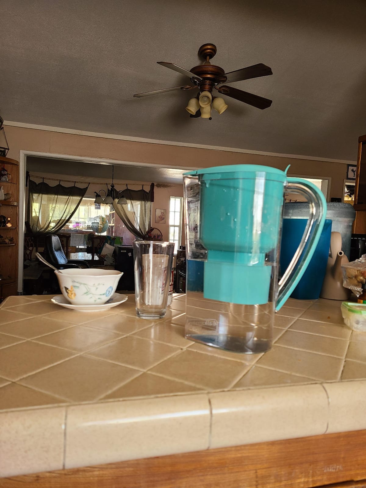 Alkanatur Water Filter Pitcher, Removes Fluoride/PFAs, Adds Magnesium | Removes fluoride, microplastics, PFAs, chlorine, heavy metals. Hydrogenates & ionizes. Certified UNE 149101:2015 customer photo 1