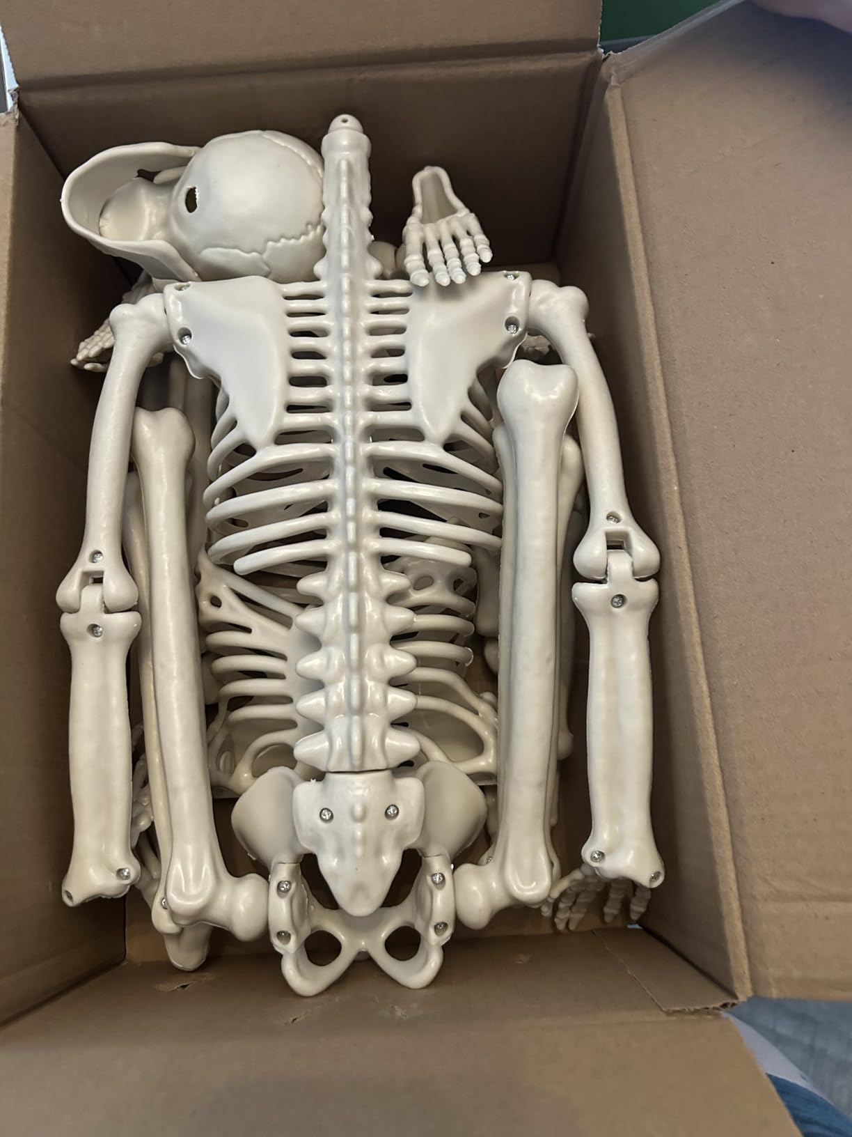 Halloween Decorations Outdoor, 2 Pack 36