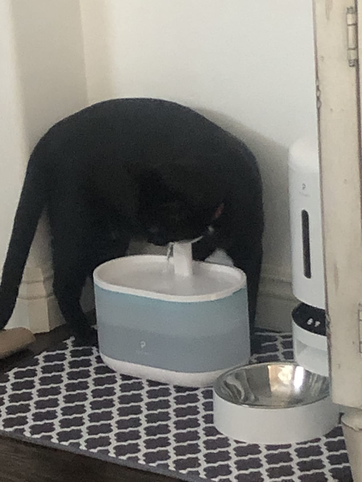 PETLIBRO Upgrade Cat Water Fountain Stainless Steel Tray, Dockstream 2 Cat Fountain Indoor, 3L/101oz Auto Cat Fountains for Drinking, App Monitoring Pet Water Fountain Dog, 5G WiFi Cat Water Dispenser customer photo 2