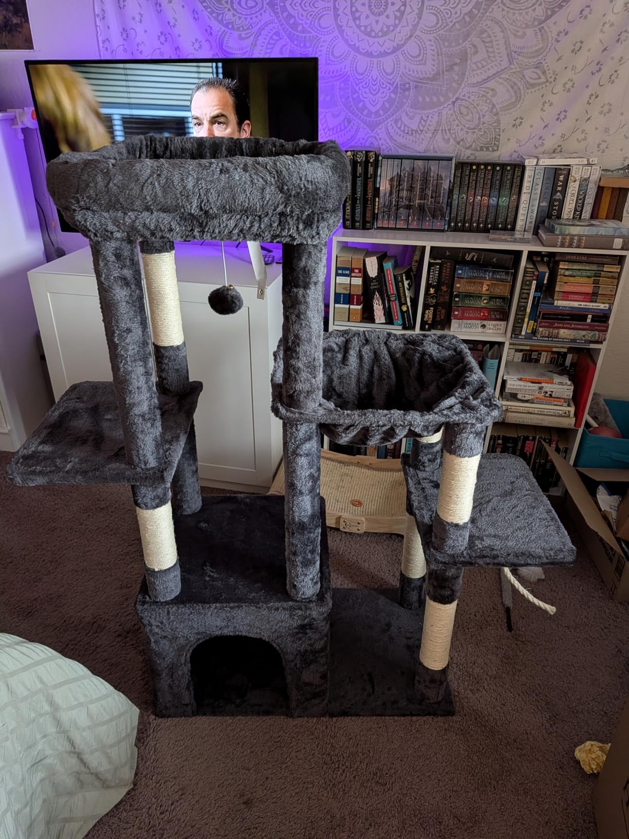 Heybly Heavy Duty Cat Tree with Large Base for Large Indoor Cats HCT026W customer photo 2